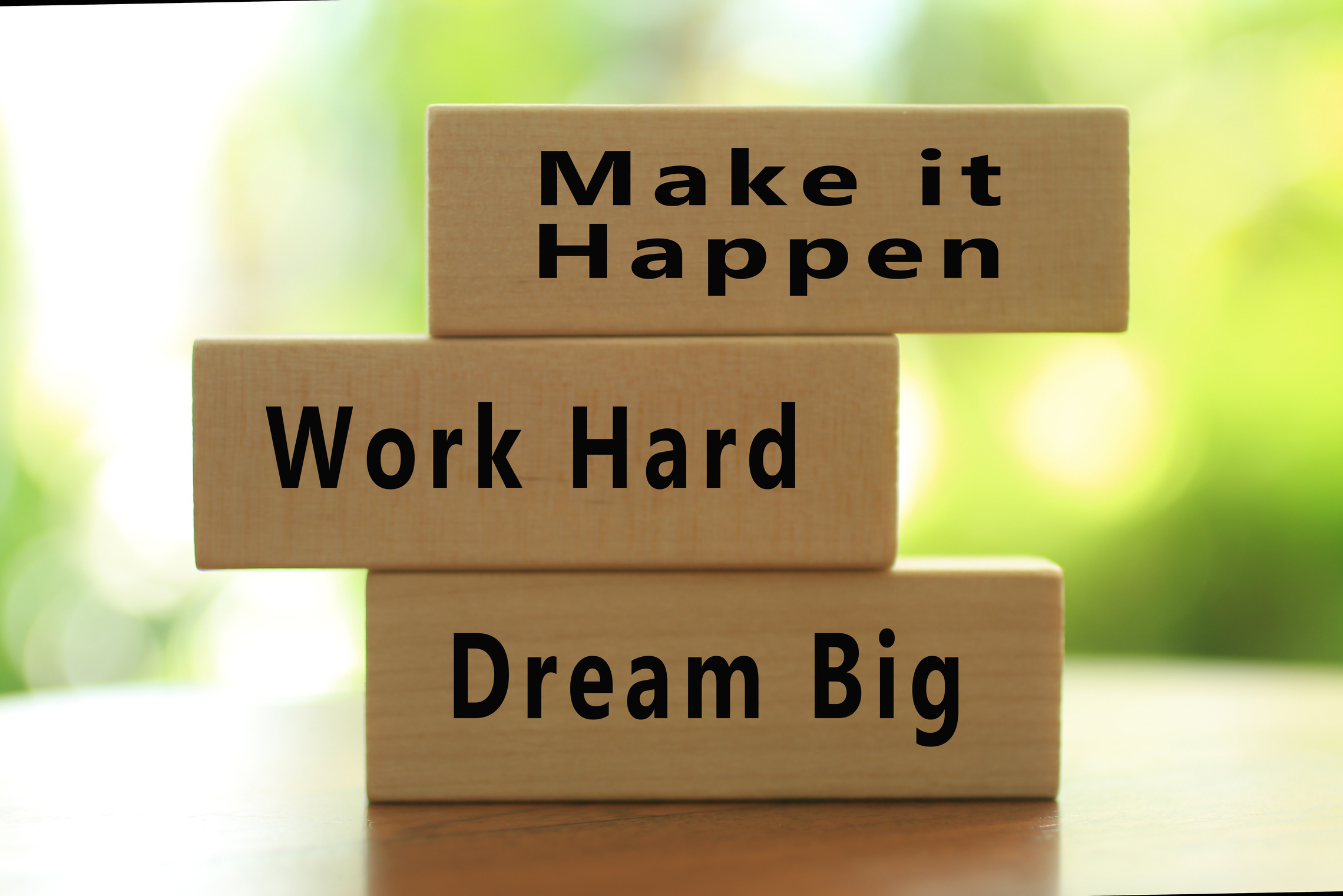Dream big. Work hard. Make it happen.